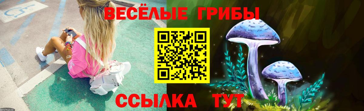 Псилоцибиновые грибы Psilocybine cubensis  Вход с VPN  дарнет шоп  Верхняя Салда 